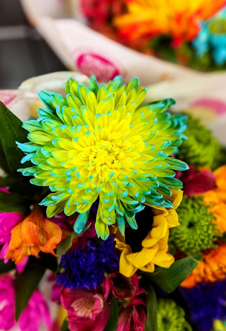 Kobieta rozmawiająca przez telefon w kwiaciarni