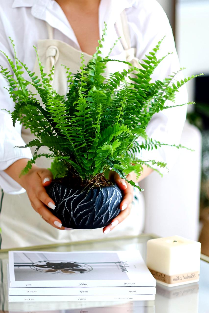 Wieńce pogrzebowe z białych kwiatów i zielonych liści