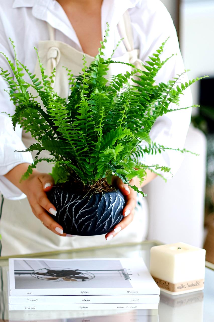 Wiosenna kolekcja tulipanów i narcyzów w pastelowych kolorach